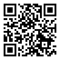 足银银锭