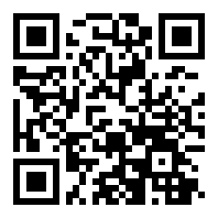 flash手机版2G版