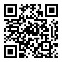 网页flash播放器