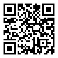 惩罚公主游戏下载汉化版NicheGeo